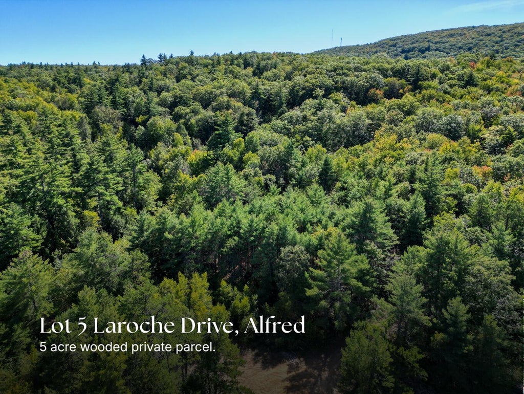 Photo of Lot 5 Laroche Drive, Alfred, ME 04002 (MLS # 1680817)