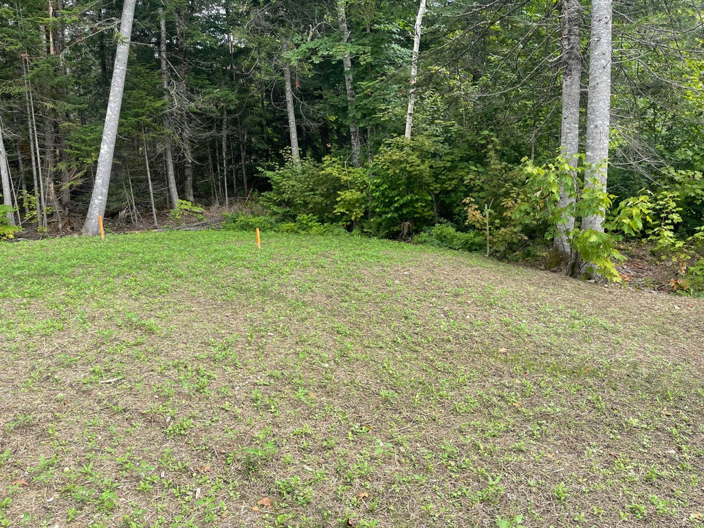 Photo of Lot 34 Lake Shore Drive, Stockholm, ME 04783 (MLS # 1674341)