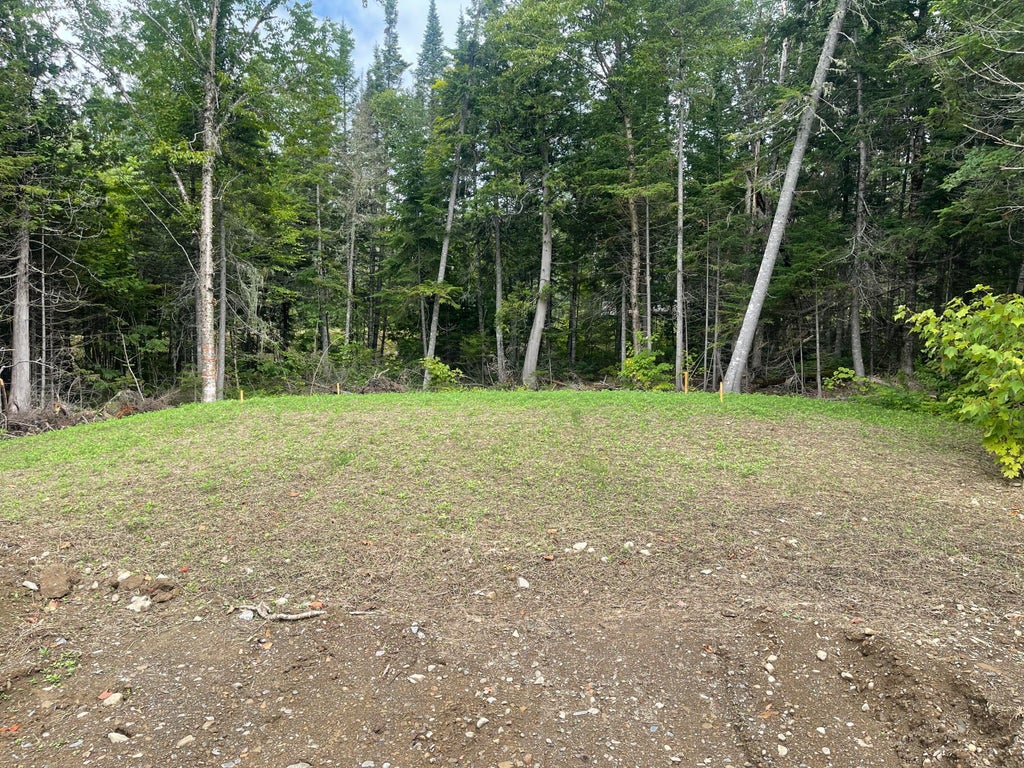 Photo of Lot 34 Lake Shore Drive, Stockholm, ME 04783 (MLS # 1674341)