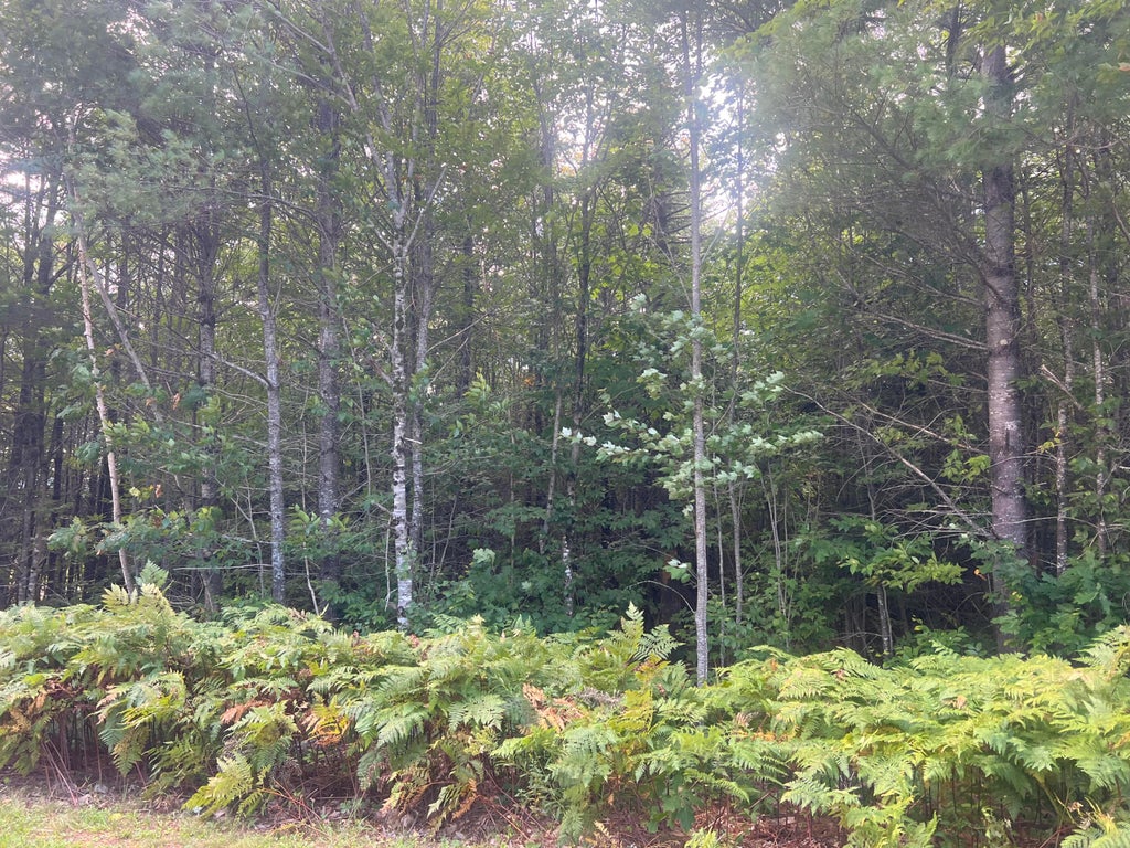 Photo of Lot 6 First Street, Bethel, ME 04217 (MLS # 1680958)