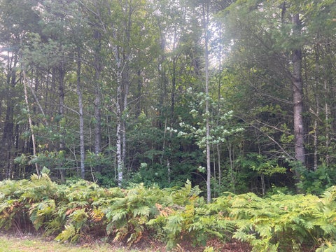 Photo of Lot 6 First Street, Bethel, ME 04217 (MLS # 1680958)