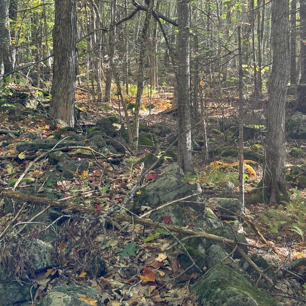 Photo of 266 Mountain Road, Washington, ME 04574 (MLS # 1683569)