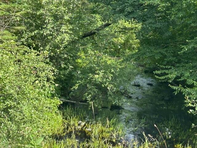 Photo of 10 County Road Road, Orneville Twp, ME 04463 (MLS # 1673799)