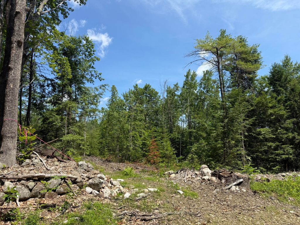 Photo of 0 Fosterville Road, Bridgton, ME 04009 (MLS # 1671408)