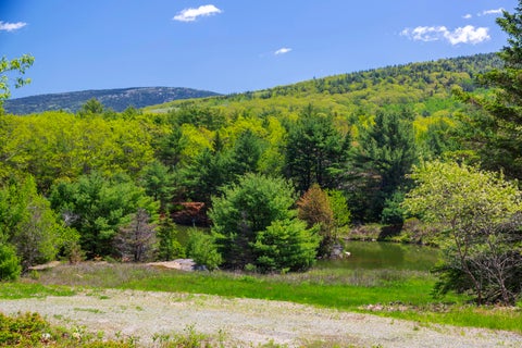 Photo of 108 Stanley Mountain Road, Mount Desert, ME 04660 (MLS # 1665093)