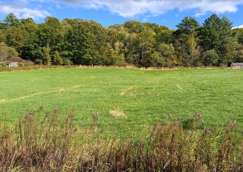 Photo of M05 L28 West Minot Road, Minot, ME 04258 (MLS # 1683920)