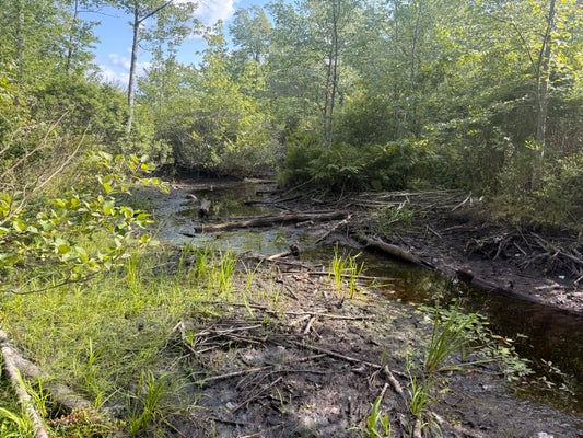 39 OLD BENNOCH RD, OLD TOWN, ME 04468 - Image b73b71ea1bd29f65a690fec17a48a2c0/2148731056