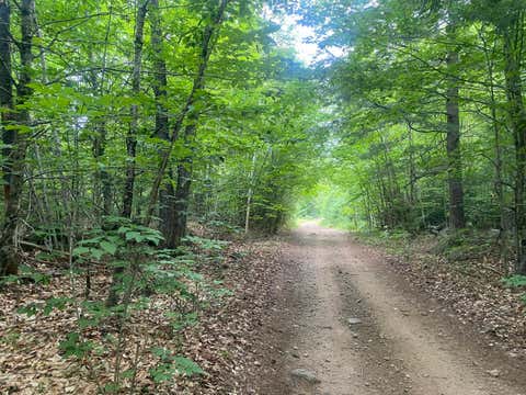 Photo of 36AC Tucker Road, Porter, ME 04068 (MLS # 1673051)