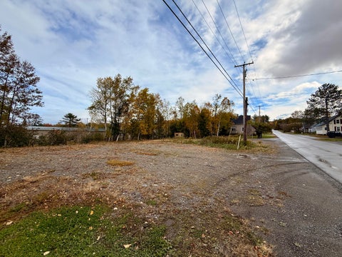 Photo of 8 Washington Street, Greenville, ME 04441 (MLS # 1683830)