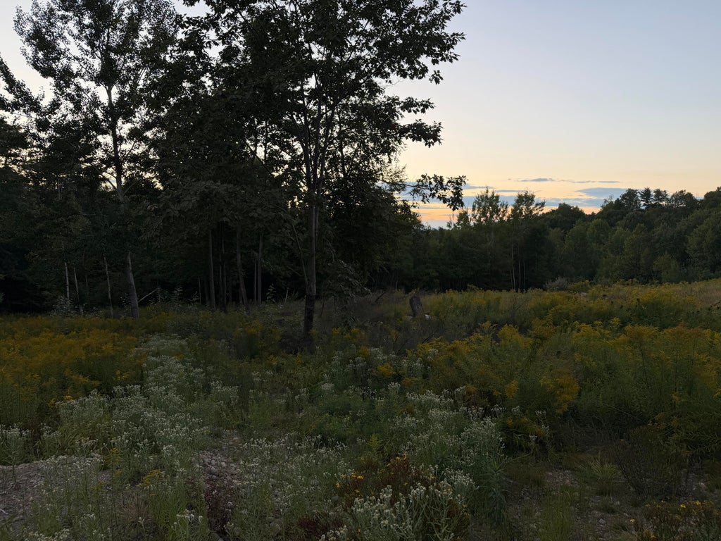 Photo of 319 Parsons Road, Paris, ME 04281 (MLS # 1677290)