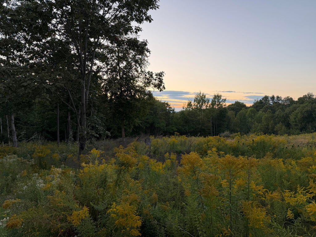Photo of 319 Parsons Road, Paris, ME 04281 (MLS # 1677290)