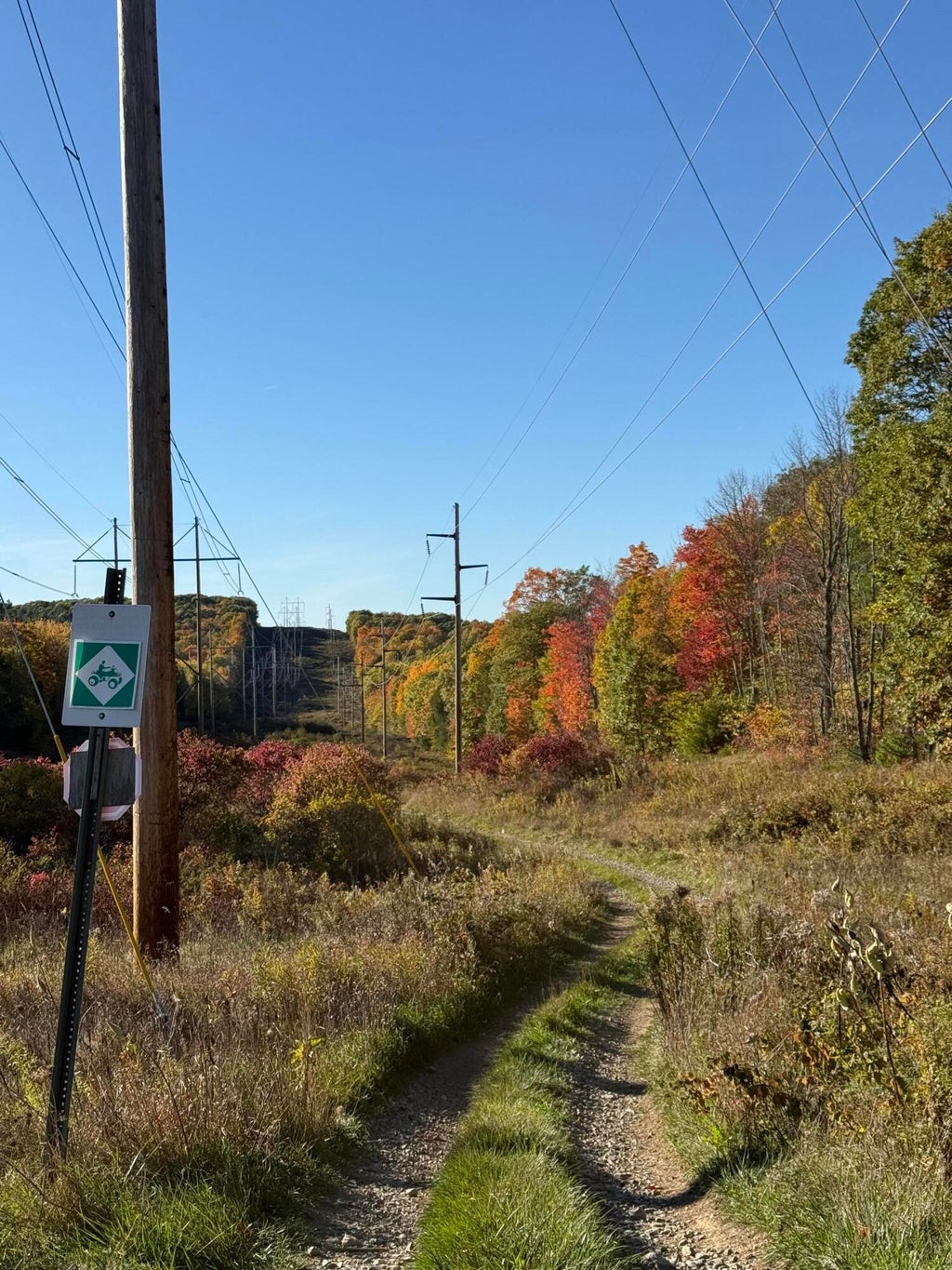 Photo of 0 Lillian's Lane, Dixmont, ME 04932 (MLS # 1684995)