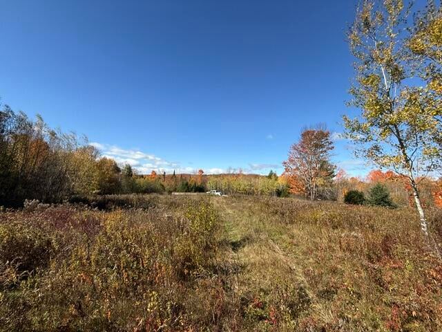 Photo of 1556 Springfield Road, Danforth, ME 04424 (MLS # 1683356)