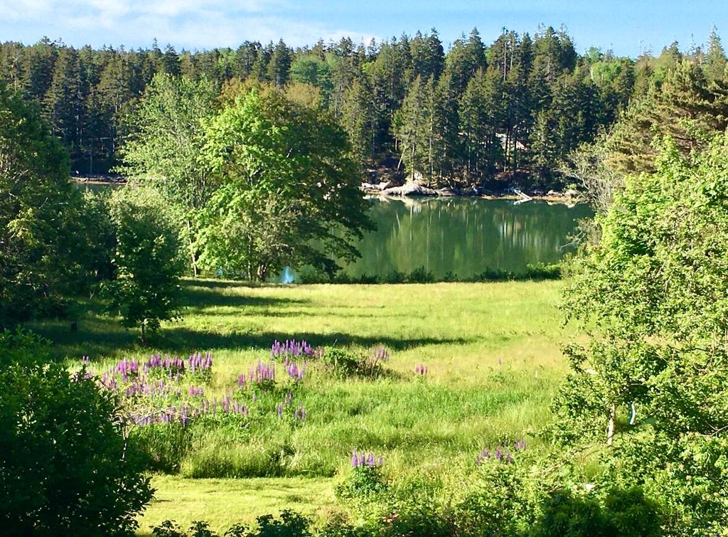 Photo of 104 S Deer Isle Road, Deer Isle, ME 04627 (MLS # 1659516)