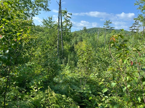 Photo of M247L4 Route 232, Rumford, ME 04276 (MLS # 1675754)