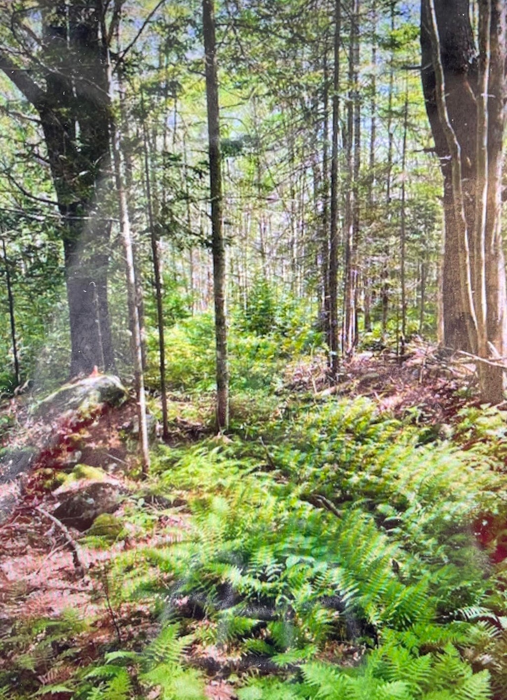 Photo of 2 Stonewyck Lane, Damariscotta, ME 04543 (MLS # 1682019)