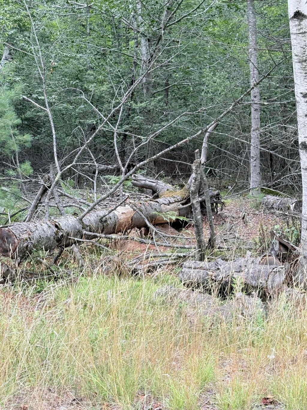 Photo of 00 Walker Road, Lamoine, ME 04605 (MLS # 1676631)