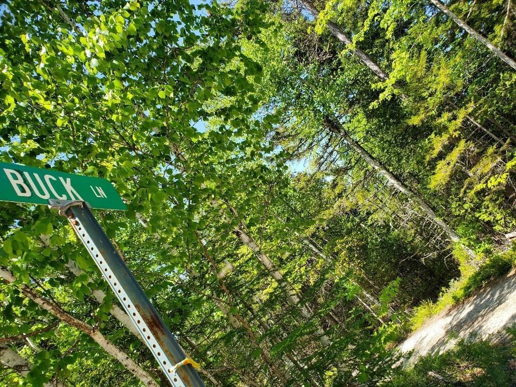 Photo of 0 Spruce Mountain Lake, Beddington, ME 04622 (MLS # 1664870)