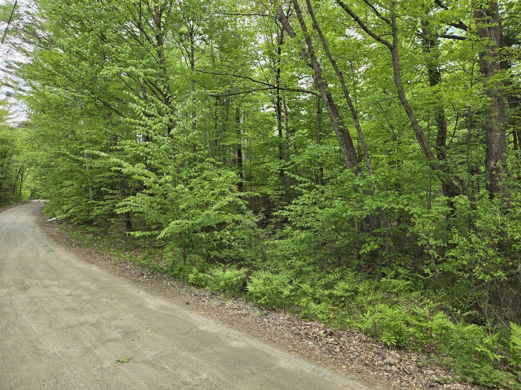 Photo of Lot 10C Staples Pond Road, Temple, ME 04984 (MLS # 1655150)