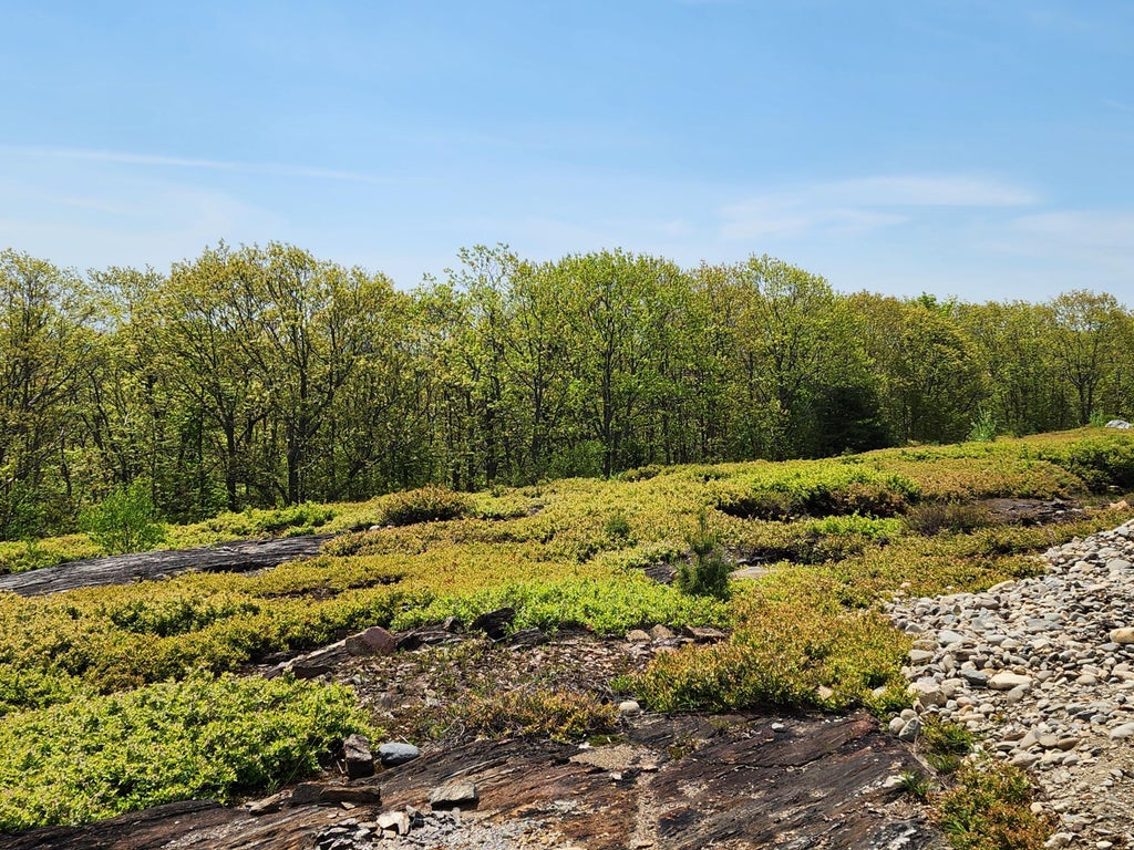 Photo of 4 Whispering Berries Hill, Liberty, ME 04949 (MLS # 1647583)