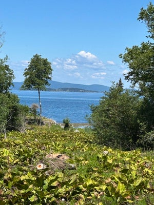 219 W DISTRICT RD, NORTH HAVEN, ME 04853 - Image bf796097a40ddcda5e044c2b6efd8b86/3229820793