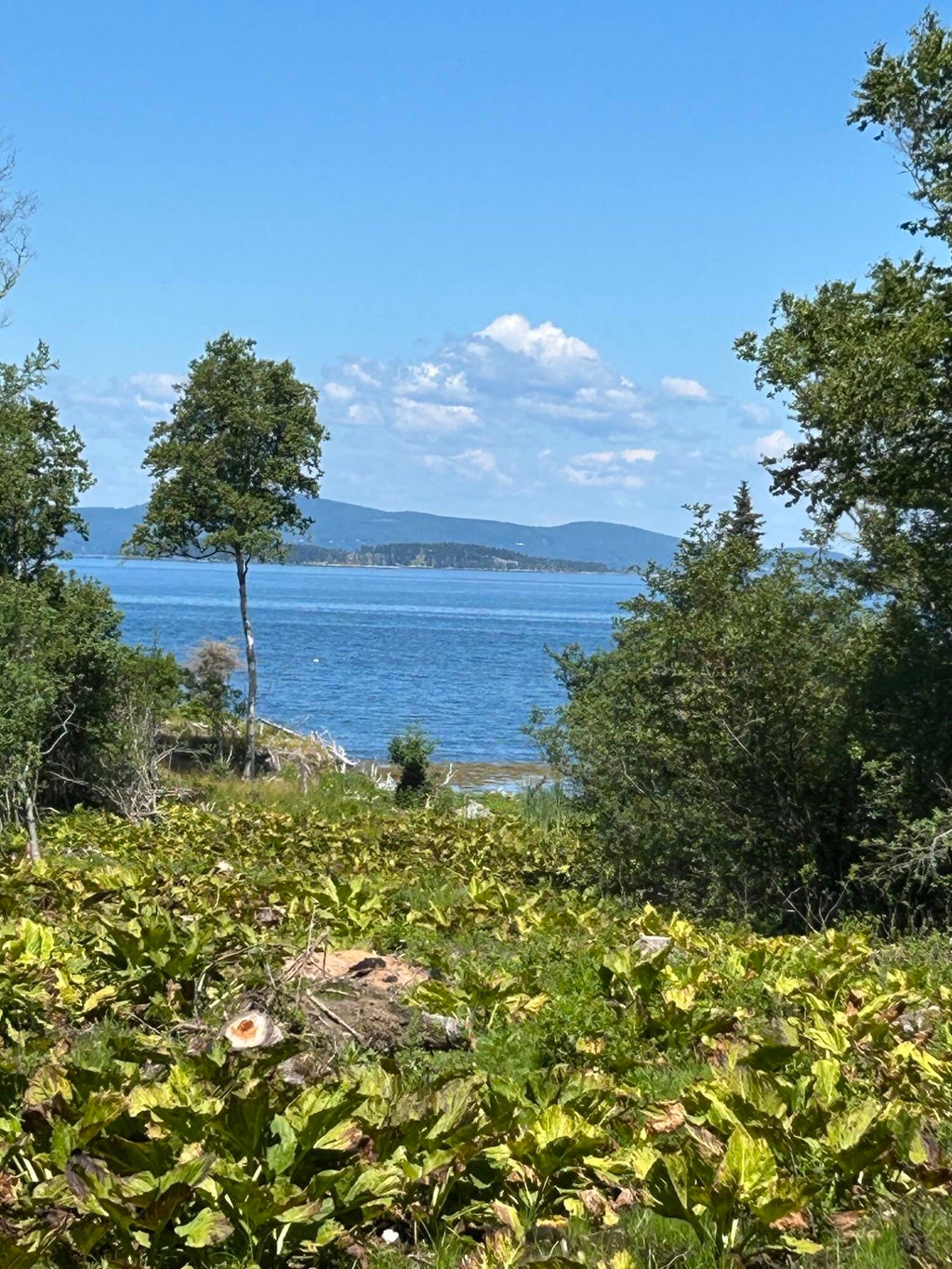 Photo of 213-001 W West District Road, North Haven, ME 04853 (MLS # 1665389)