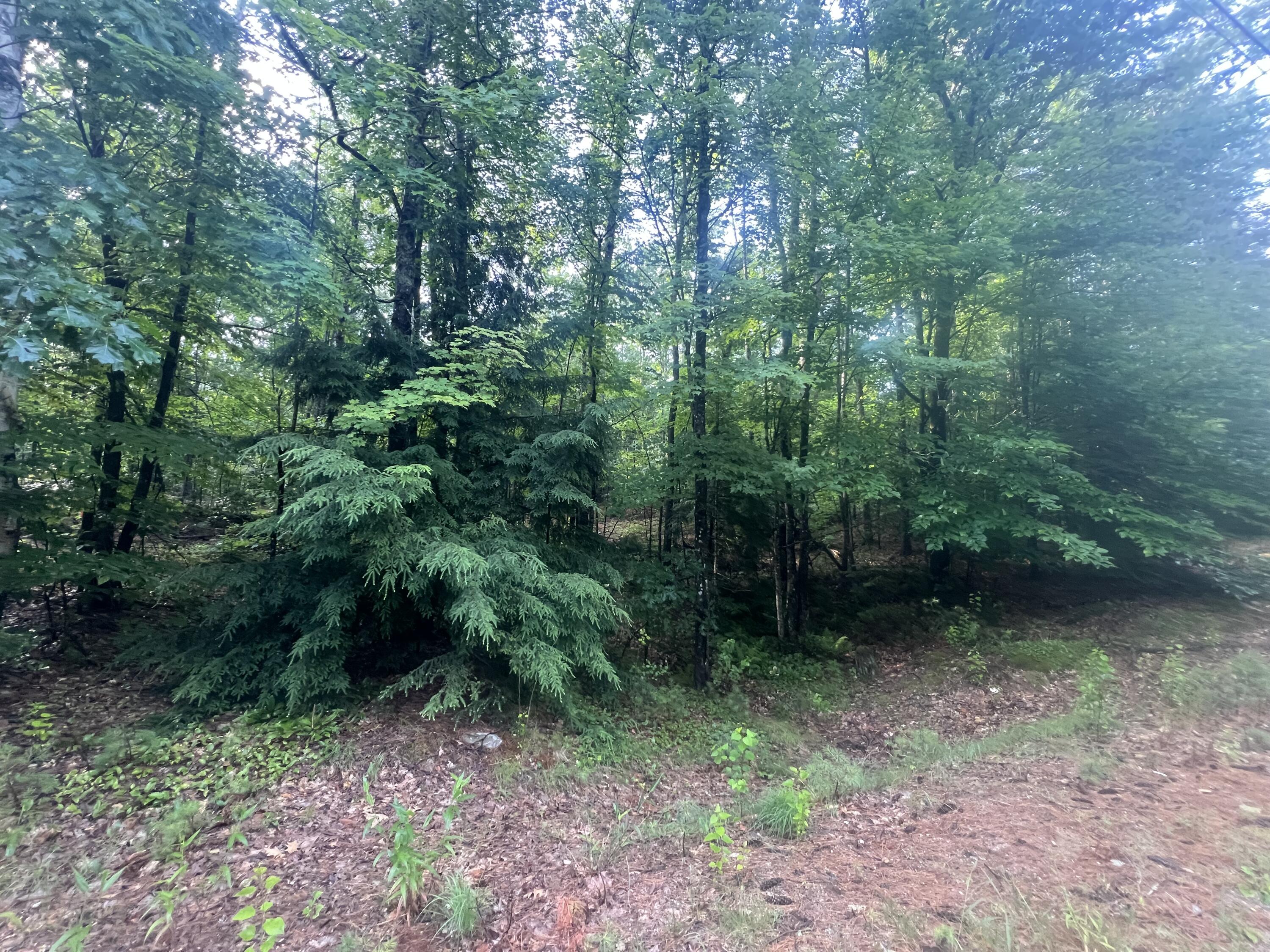 Lot #1 Intervale Road