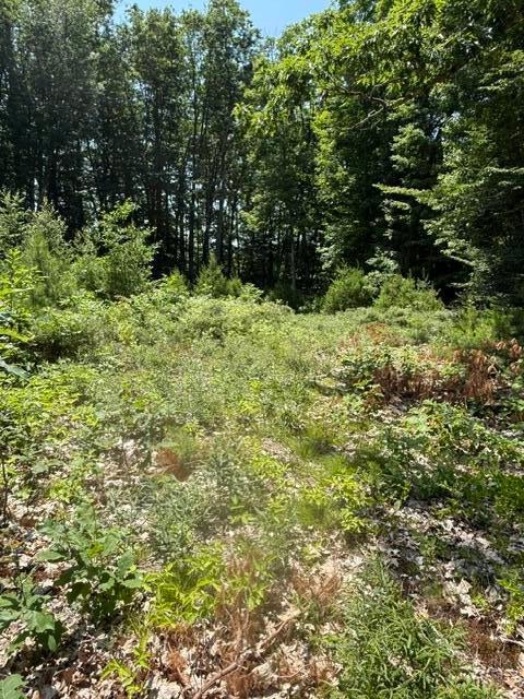Photo of 215 Old Orchard Road, Buxton, ME 04093 (MLS # 1671037)
