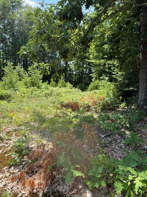 Photo of 215 Old Orchard Road, Buxton, ME 04093 (MLS # 1671037)