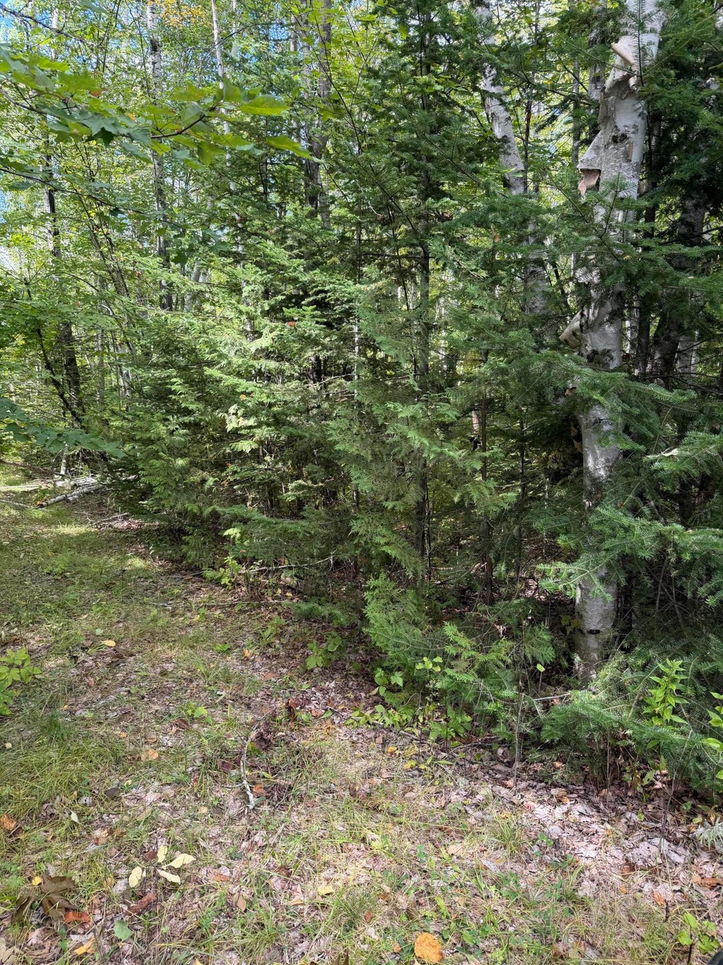Photo of M1 L74 Lyford Road, Orneville Twp, ME 04463 (MLS # 1680979)