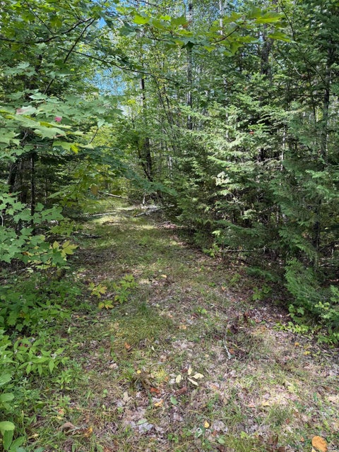 Photo of M1 L74 Lyford Road, Orneville Twp, ME 04463 (MLS # 1680979)