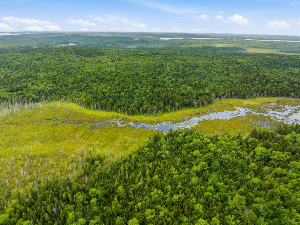 Photo of Lot 24B Ridge Road, Whiting, ME 04691 (MLS # 1674810)