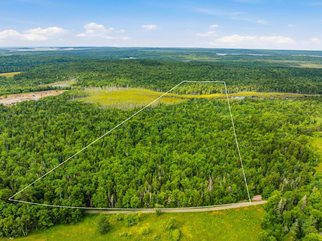Photo of Lot 24B Ridge Road, Whiting, ME 04691 (MLS # 1674810)