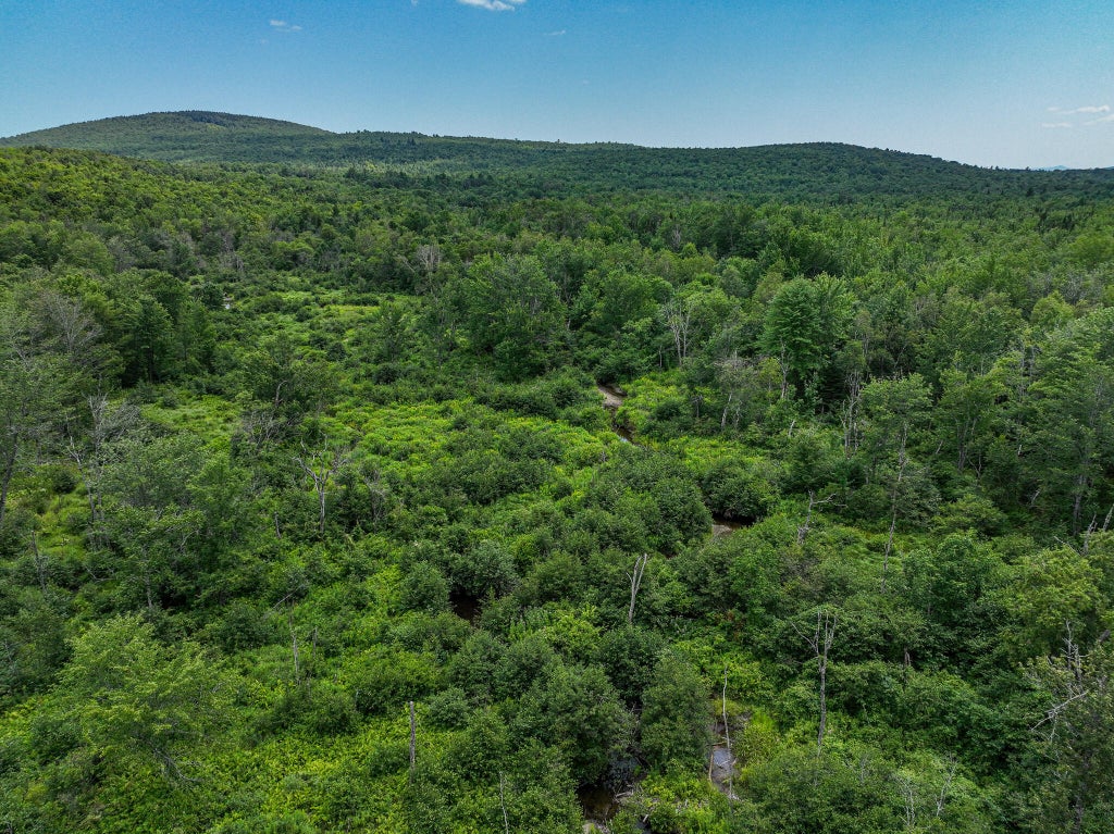 Photo of 0 Center Hill Road, Weld, ME 04285 (MLS # 1662365)