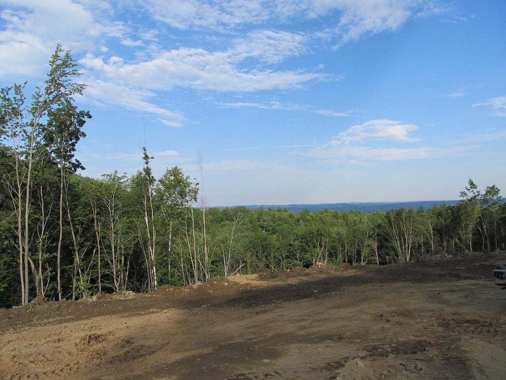Photo of 6.6 Hodgdon Road, Buckfield, ME 04220 (MLS # 1675057)