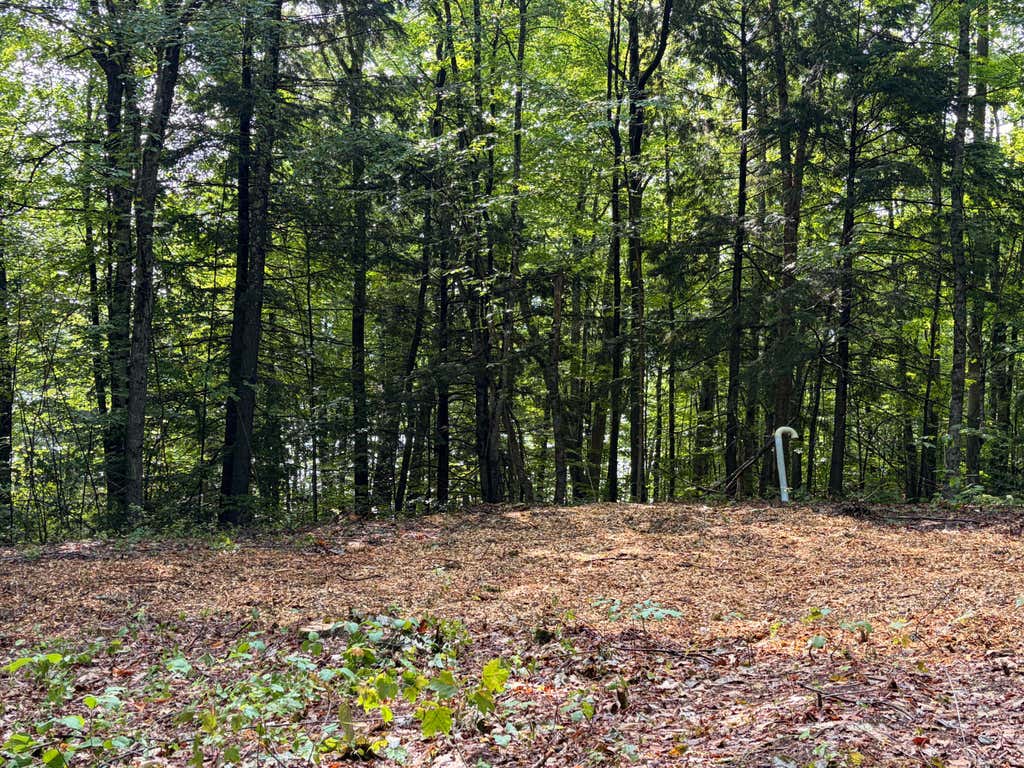 Photo of Lot 29 Pine Tree Road, Waterford, ME 04088 (MLS # 1669885)