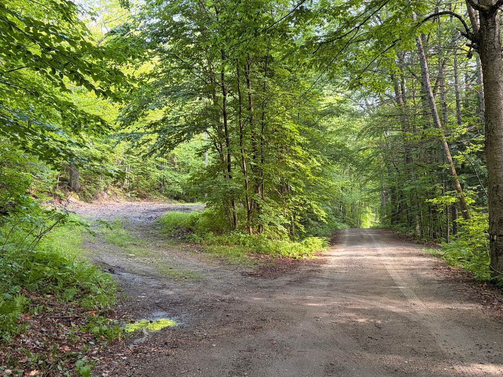Photo of Lot 29 Pine Tree Road, Waterford, ME 04088 (MLS # 1669885)