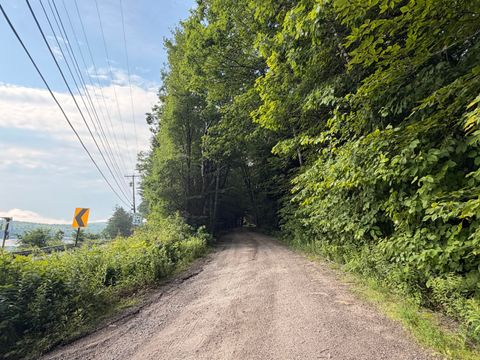 Photo of Lot 29 Pine Tree Road, Waterford, ME 04088 (MLS # 1669885)