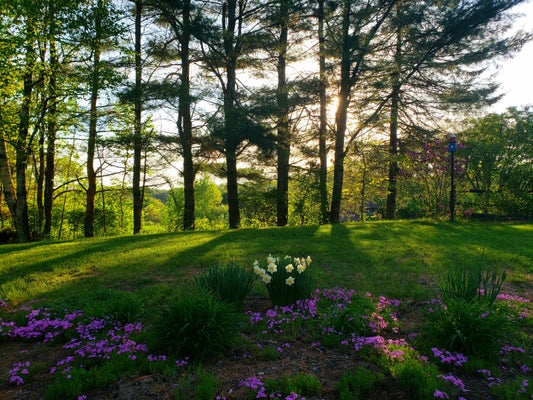 39 COOK RD, WINDHAM, ME 04062 - Image c1cdf88a866aefbc3d1cf60a3d7eff89/3023527636