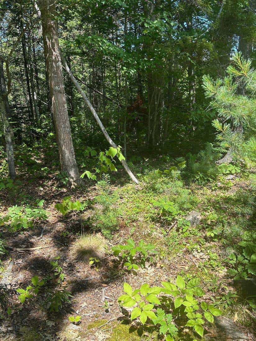 Photo of 7 Shackleton's Way, Boothbay, ME 04537 (MLS # 1672727)
