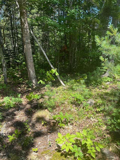 Photo of 7 Shackleton's Way, Boothbay, ME 04537 (MLS # 1672727)