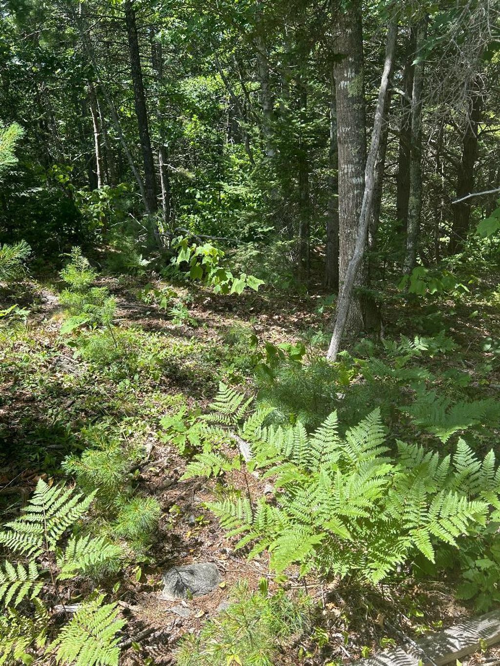 Photo of 7 Shackleton's Way, Boothbay, ME 04537 (MLS # 1672727)