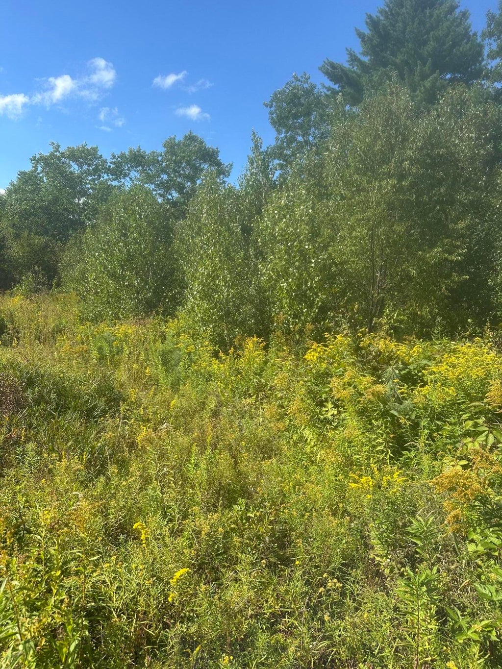 Photo of Lot 4 W Side Unionville Road, Steuben, ME 04680 (MLS # 1679047)