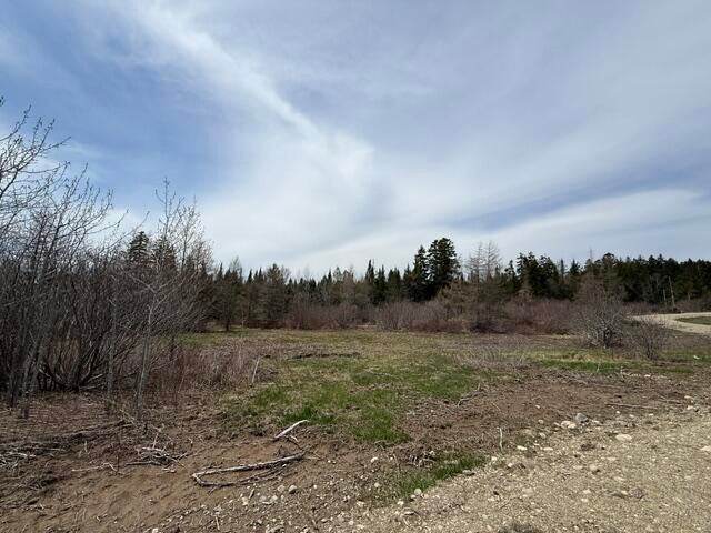 Photo of Lot 5 Holmes Bay Farms Road, Whiting, ME 04691 (MLS # 1662730)