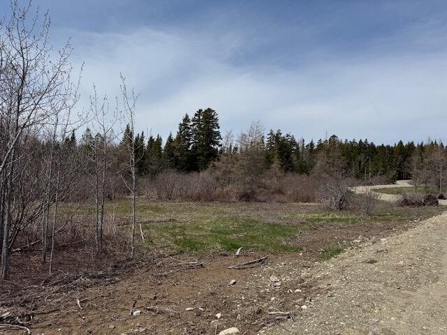 Photo of Lot 5 Holmes Bay Farms Road, Whiting, ME 04691 (MLS # 1662730)