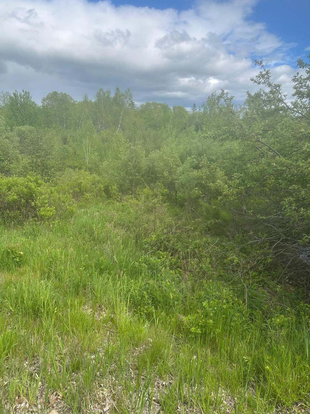 Photo of Lot 6 Unionville Road, Steuben, ME 04680 (MLS # 1665270)