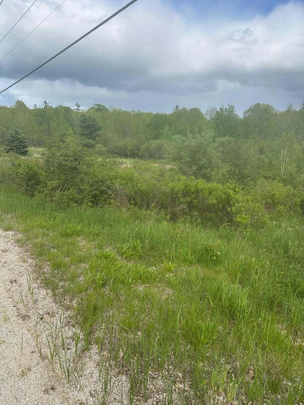 Photo of Lot 6 Unionville Road, Steuben, ME 04680 (MLS # 1665270)