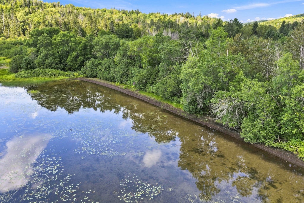 Photo of 0 Cleveland Road, Saint Agatha, ME 04772 (MLS # 1678013)