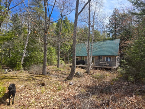 Photo of 146 Thoroughfare Road, Island Falls, ME 04747 (MLS # 1662002)
