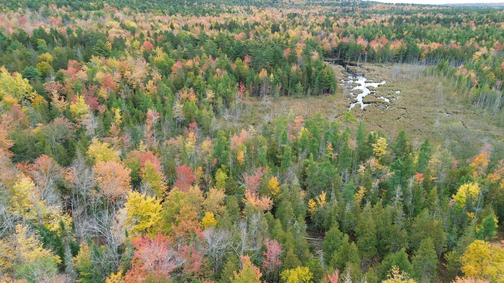 Photo of M3L27 Savery Road, Searsport, ME 04974 (MLS # 1683781)